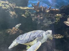 -华夏文旅海洋公园