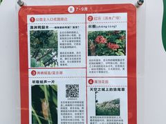 -福田红树林生态公园