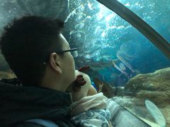 -大连圣亚海洋世界