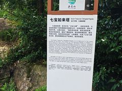 -玉苍山国家森林公园