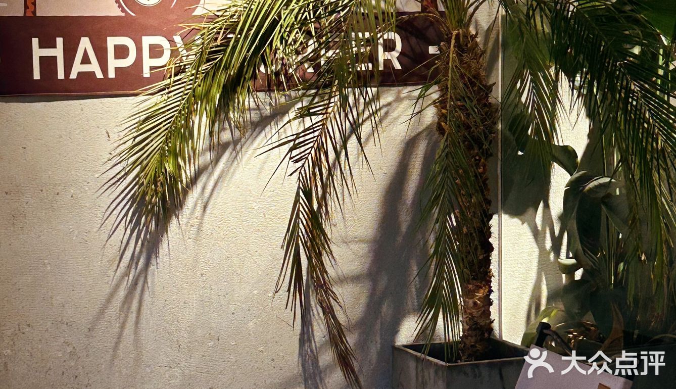 Hapi｜家人们，谁懂啊‼️张槎这个露营式小酒馆太绝了❗️