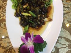 -老虎滩船说·海胆水饺·大连海鲜(老虎滩店)