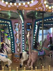 -卡通尼·Safari非洲探索乐园·生日会(金桥国际商业广场店)