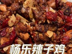 -杨乐辣子鸡(和田一街店)