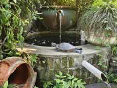 -野蔓果·山野菜(西湖景区·龙井茶田店)