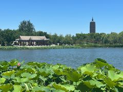 -西海子公园