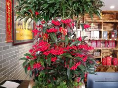 -顺德了能馆(虎门店)