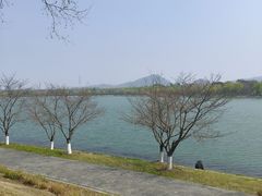 -羊山湖公园