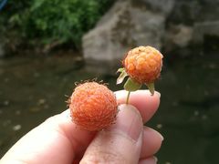 -众神白水涧景区