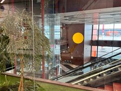 -谢列梅捷沃国际机场