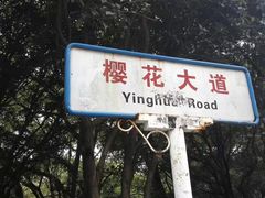 -武汉大学-樱园