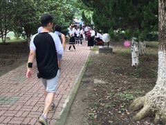 -中央公园(苏州工业园区)