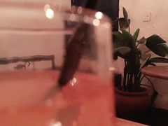 -Sirena海妖日咖夜酒