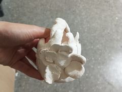 -万达广场(济南高新店)