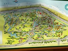 -上海滨江森林公园