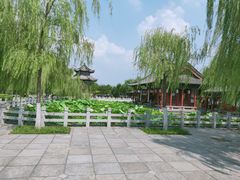 -济南大明湖景区