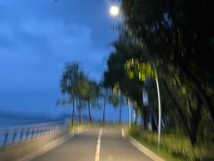 -杨梅坑