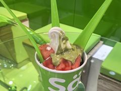 -Salud撒露欧洲冻酸奶(蓝色港湾店)