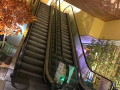 -汤泉良子(金源店)