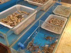 水产区-赛瑞喜来登大酒店-盛宴自助餐厅
