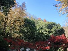 -岳麓山风景名胜区