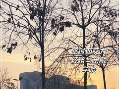 -西安交通大学(雁塔校区)