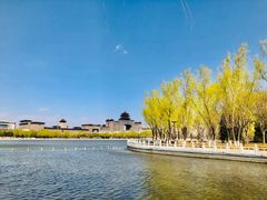 -莲花池公园