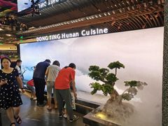 -望湘园·洞庭渔宴(浦江欢乐颂店)