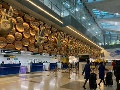 -英迪拉·甘地国际机场