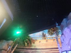 -《驼铃传奇》秀