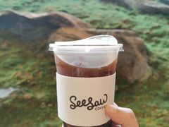 -Seesaw Coffee(朝阳大悦城店)