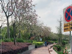 -顺峰山公园