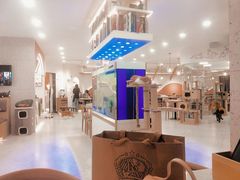 -喵园·猫主题咖啡厅·撸猫·猫咖(国贸店)