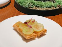 -觀芷隐轩
