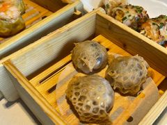 -侨美·唐荔园·40年地道粤菜