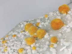 -二连浩特国家地质公园