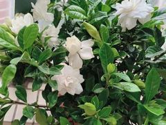 -康健民中泰式·古法按摩连锁品牌(华润万家店)