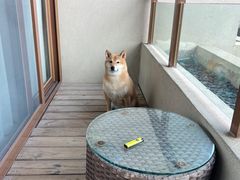 -宁波九龙湖开元度假村