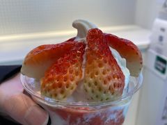 -喜茶(迪士尼小镇DP店)