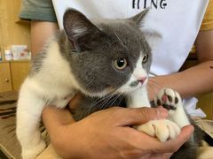 -中农大我爱我爱动物医院·核磁CT·猫病·24小时夜诊中心(石佛营店)