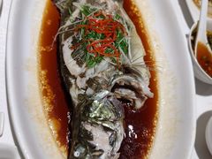 清蒸鳜鱼-弘雅饭店