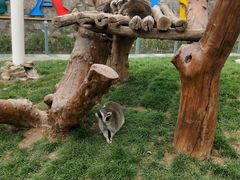 -石家庄市动物园