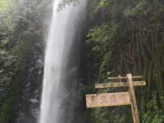 -莫里热带雨林景区