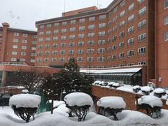 -洞爷湖万世阁酒店