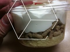 -红宝石·鲜奶小方(曲阳店)