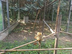 -五龙山野生动物王国