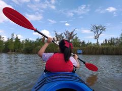 -上海长兴岛郊野公园