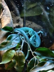 -Zoolung Zoolung动物主题公园(海信广场店)