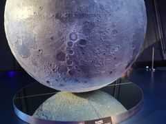 -贝林大翅鲸简餐厅(国家海洋博物馆店)