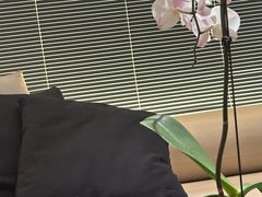 -上海璞麗酒店